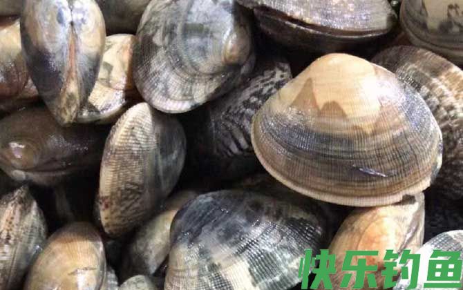 花甲