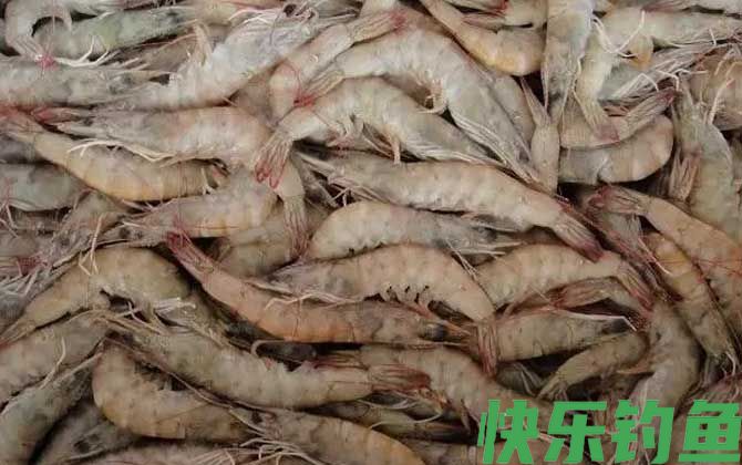 白对虾