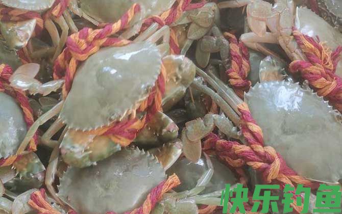 螃蟹六不吃是哪六不吃(图1) 螃蟹六不吃是哪六不吃(图1)