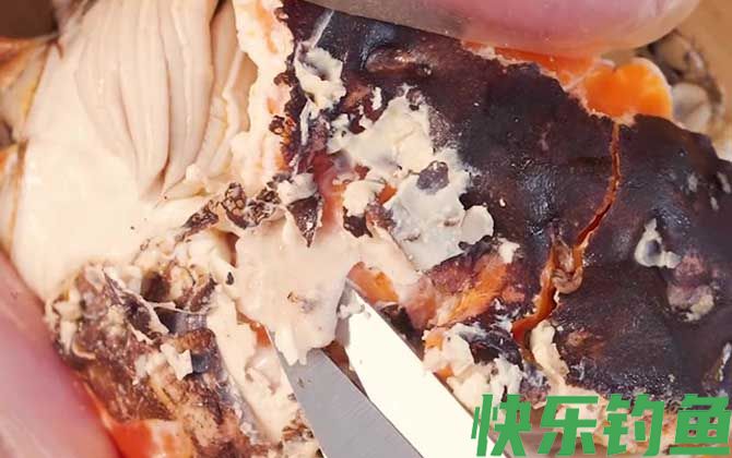 螃蟹六不吃是哪六不吃(图4) 螃蟹六不吃是哪六不吃(图4)