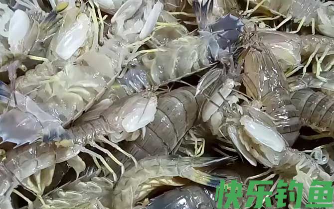 皮皮虾蒸几分钟最好(图4)