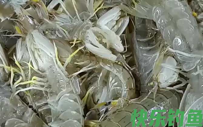 皮皮虾蒸几分钟最好(图2)